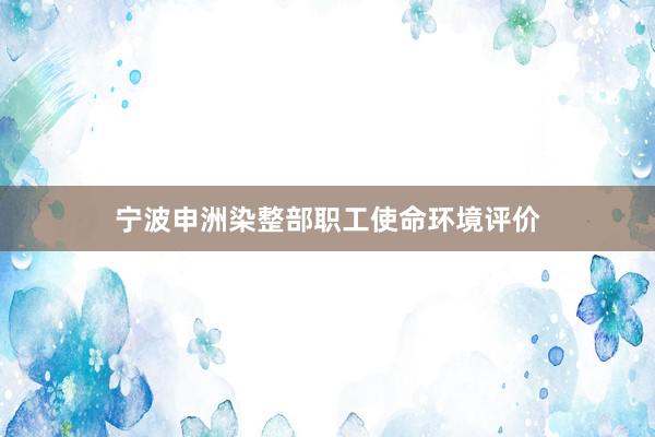 宁波申洲染整部职工使命环境评价